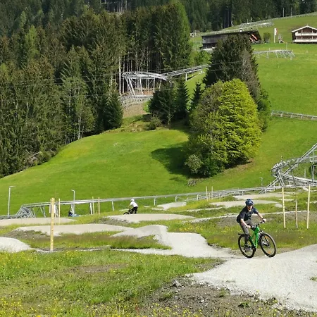 Daire Wiesenduft By Interhome Auffach